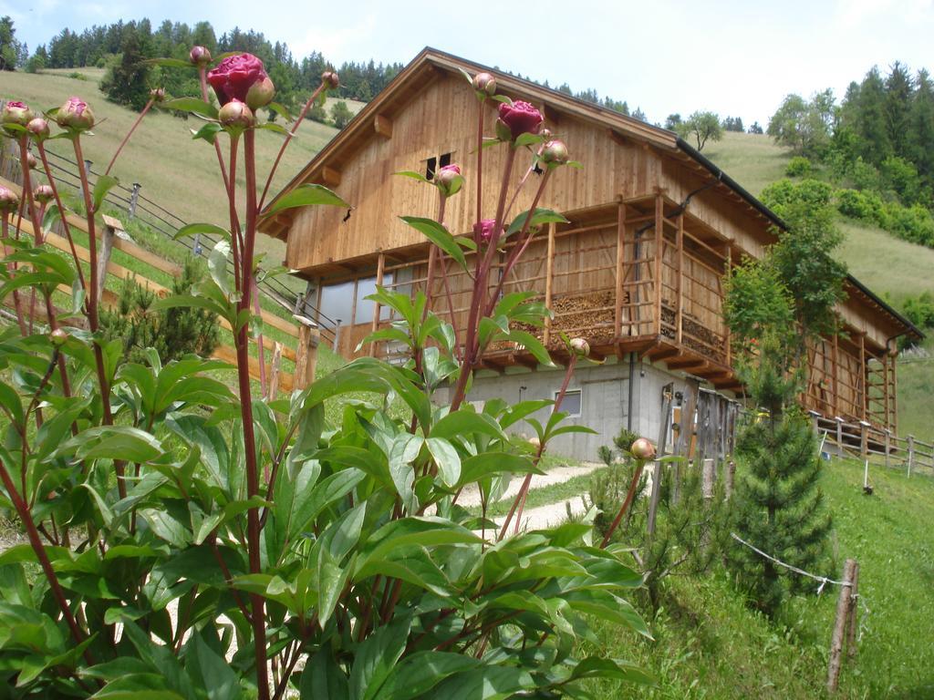 Agritur Bolser Сан-Виджилио-ди-Мареббе Экстерьер фото
