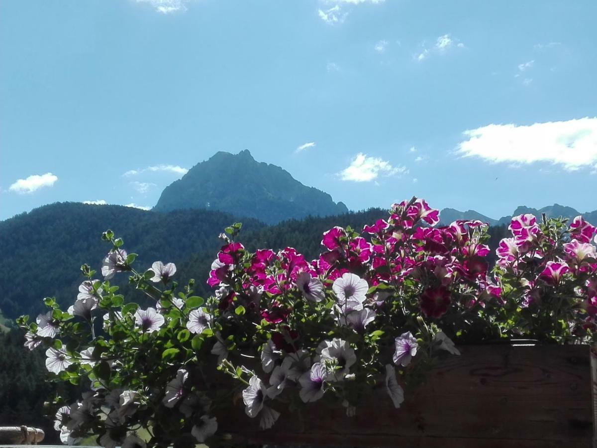 Agritur Bolser Сан-Виджилио-ди-Мареббе Экстерьер фото
